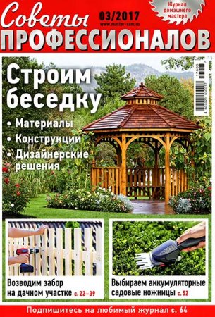 Обложка к Советы профессионалов №3 (март 2017) PDF