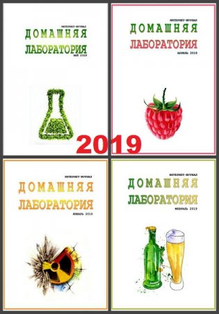 Обложка к Подшивка журнала - Домашняя лаборатория за 2019 год