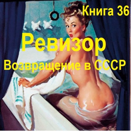 Обложка к Аудиокнига - Ревизор: возвращение в СССР. Книга 36 (2025)