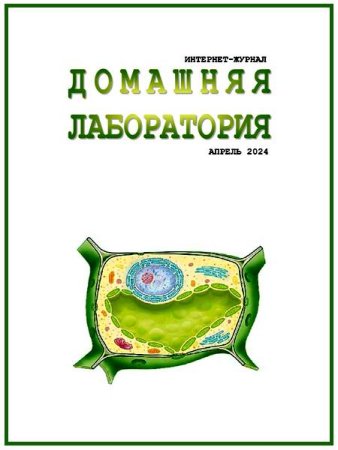 Обложка к Домашняя лаборатория №4-5 (апрель-май 2025)